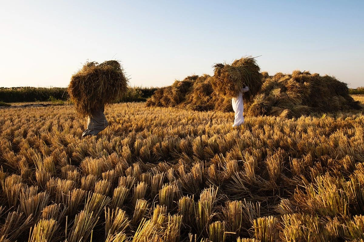 من نحن؟