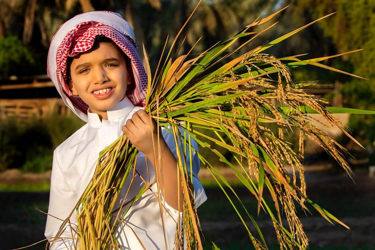 الرؤية